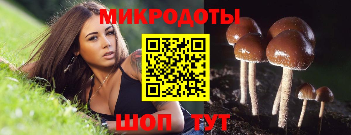 МЕТАДОН Надым